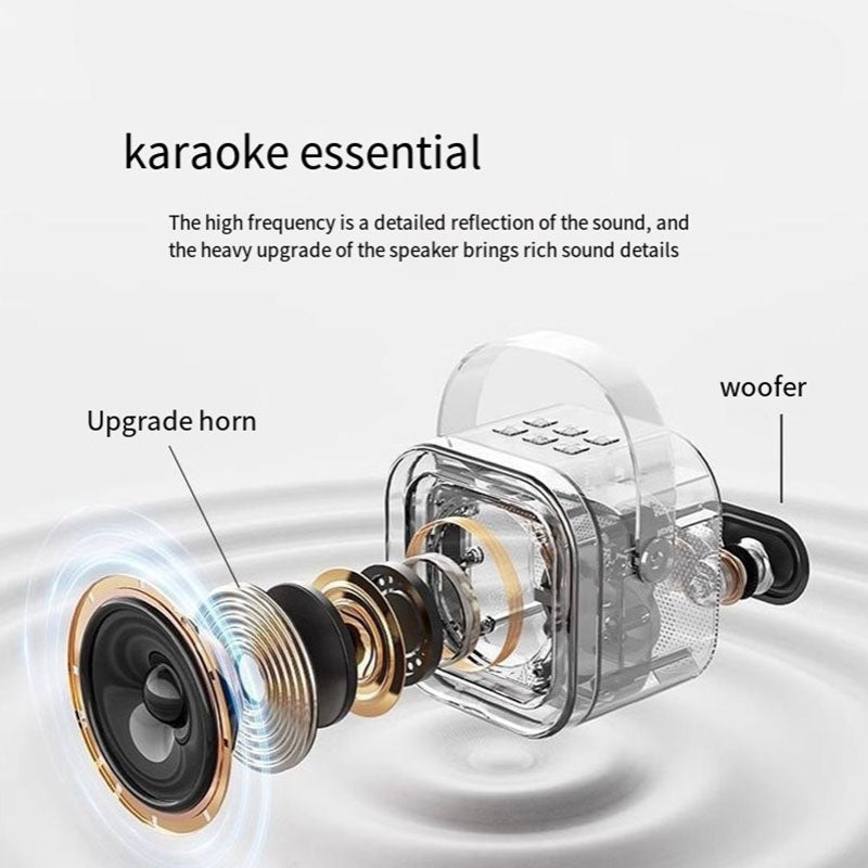 Wireless Karaoke Speaker Dual Mic RGB Lights Family Fun