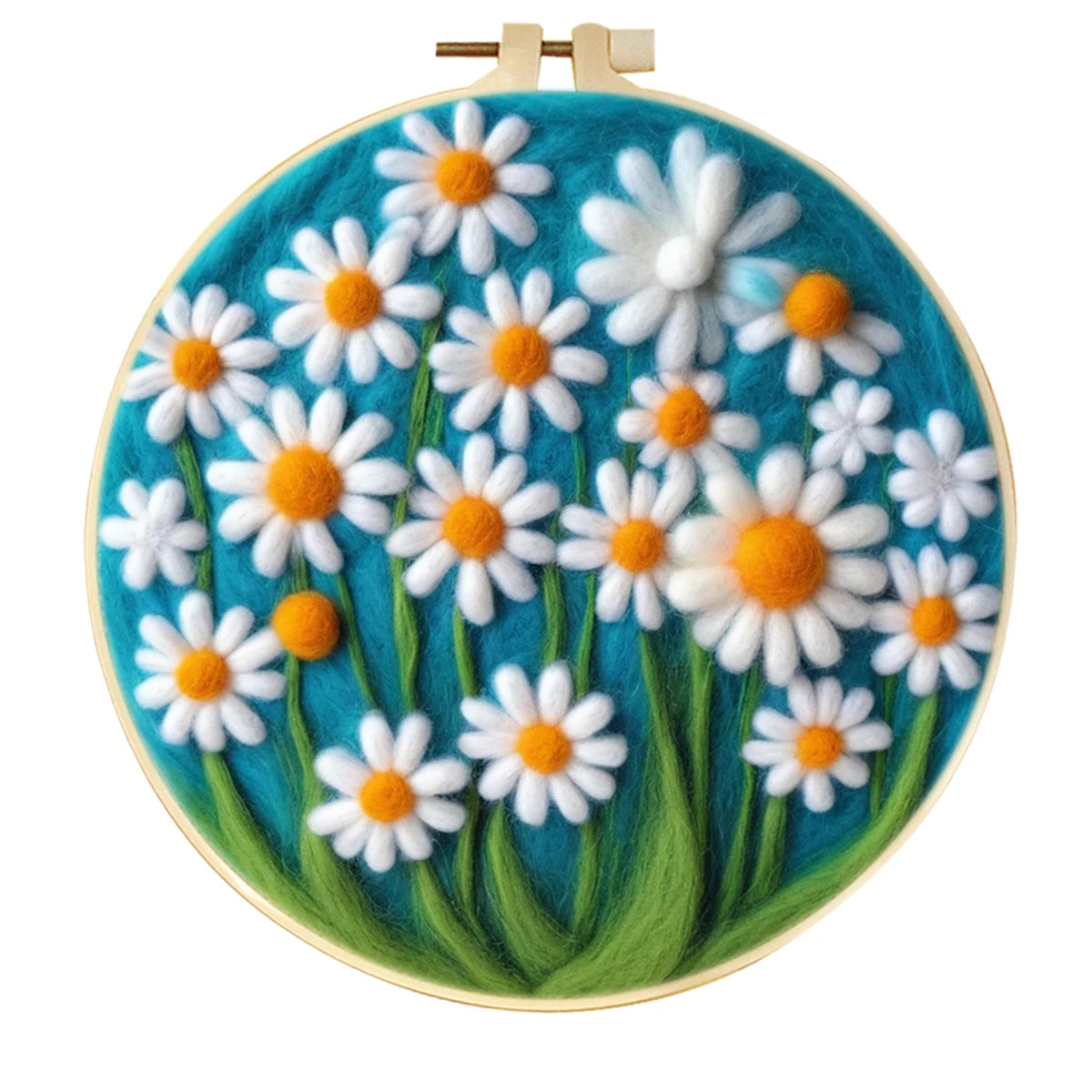 White Daisy Scene