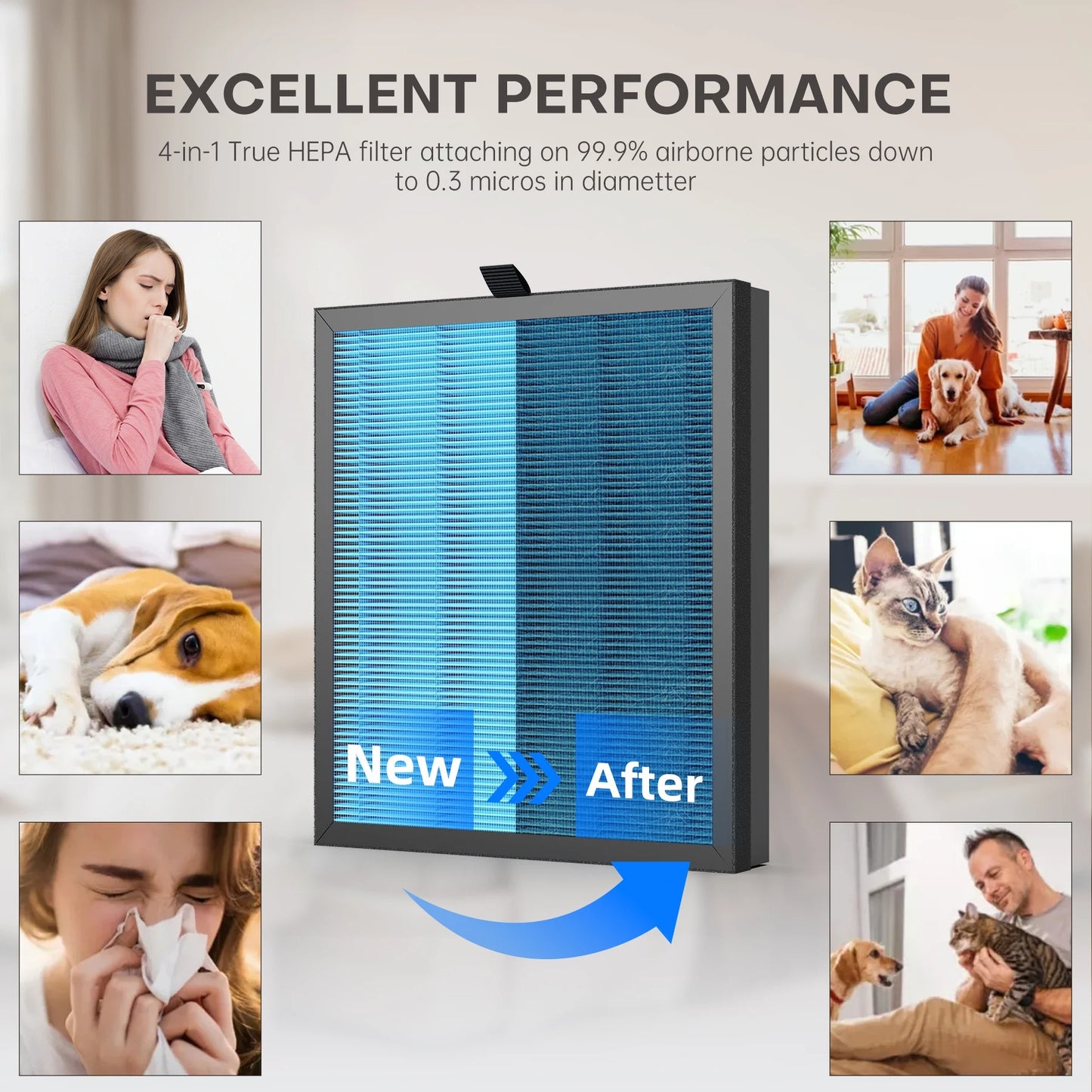 Air Purifier