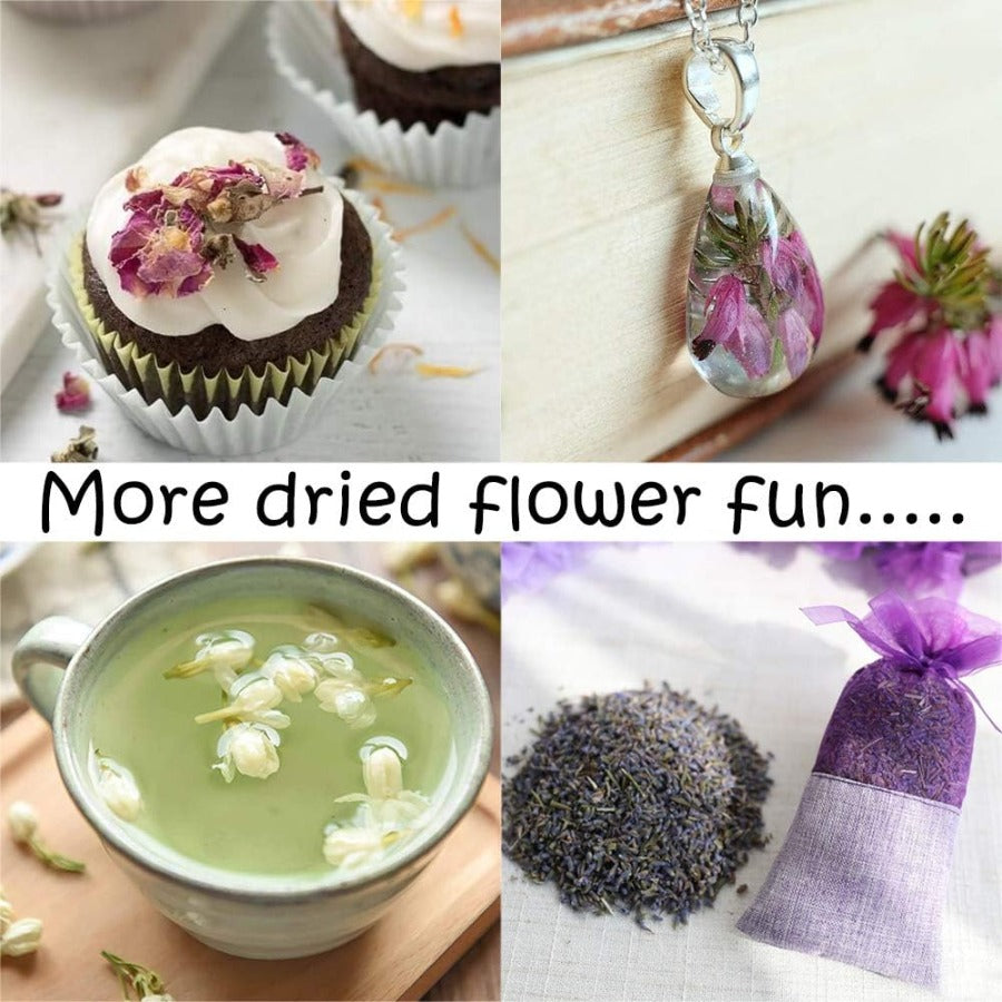 Dried Flower Set for DIY Kits