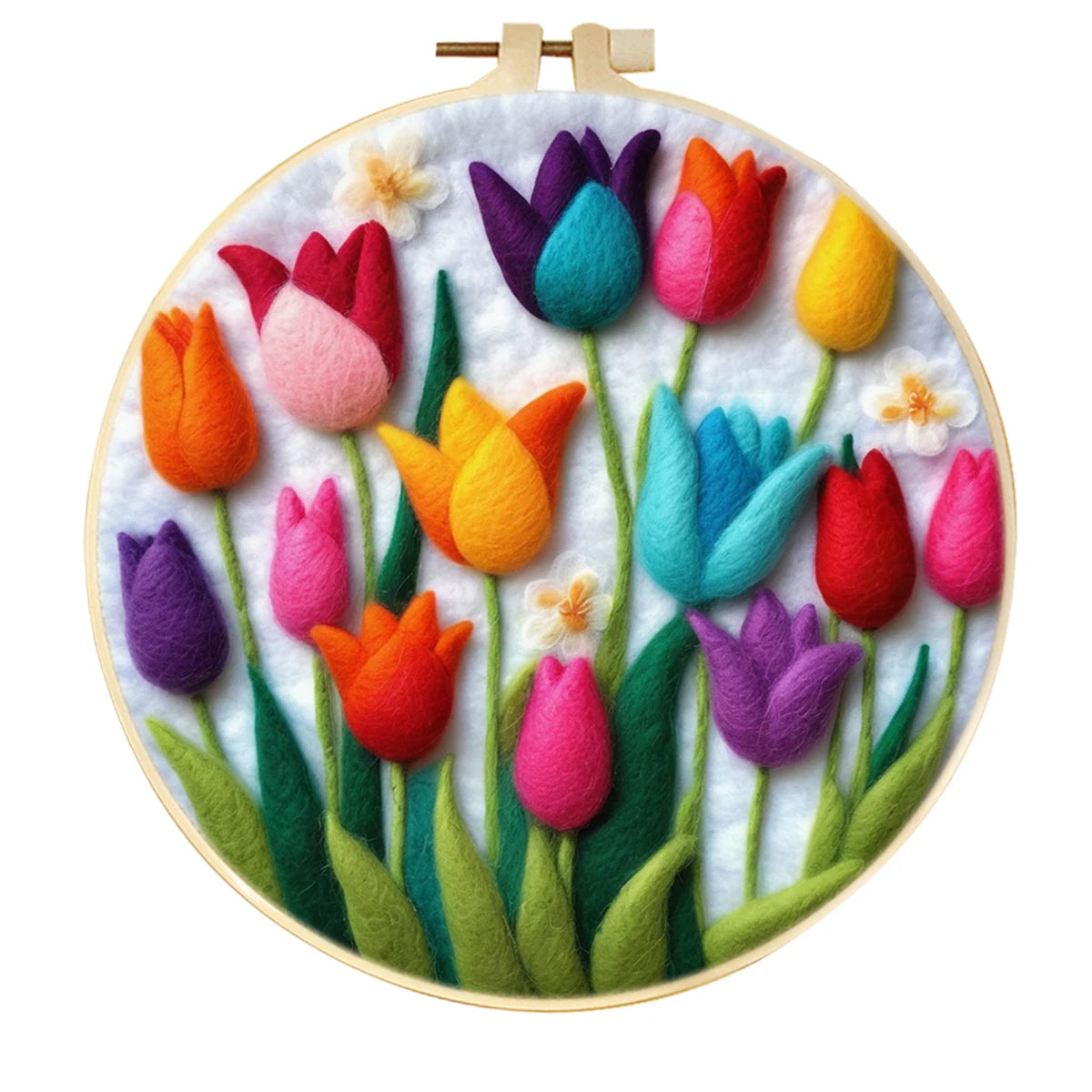 Colorful Tulips