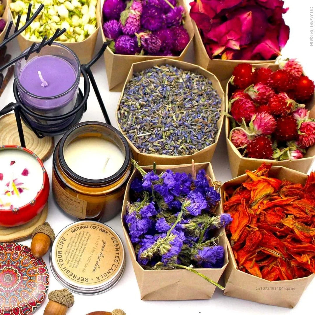Dried Flower Set for DIY Kits