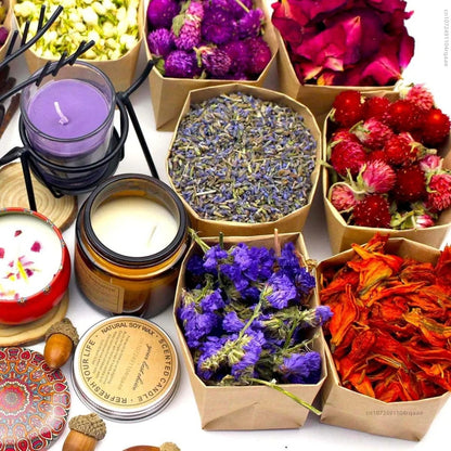 Dried Flower Set for DIY Kits